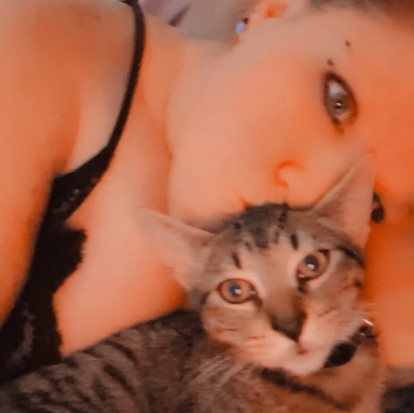 clothes, Purses - Picture 3 of 5